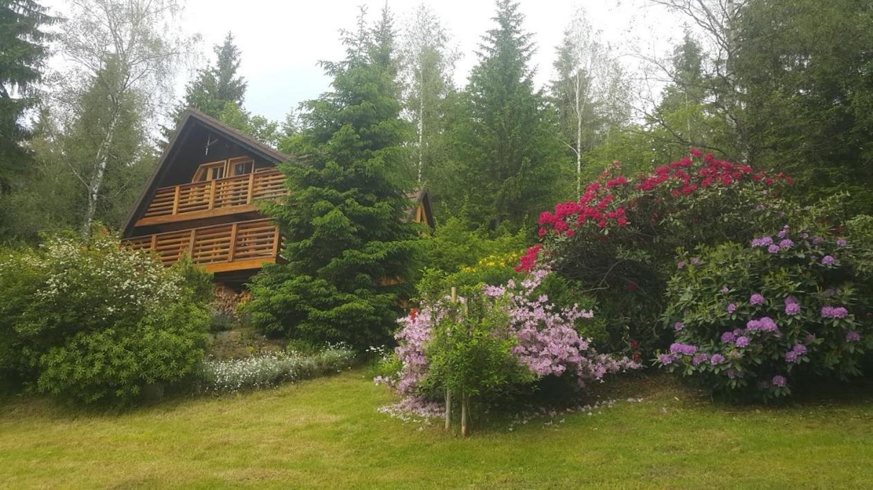 Chalet Bellevue Rogla Зрече Экстерьер фото